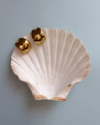 Kolczyki ze stali szlachetnej platerowane 14k złotem